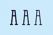 Anchor Slab + Bonus, a Slab Serif Font by Halfmoon Type (Thumbnail 3 of 5)