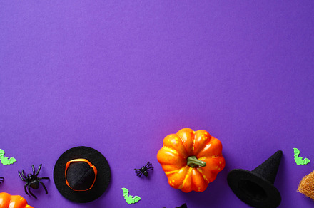 Halloween background with decorations, pumpkins, spiders, bats, witch hats and, a Holiday Photo by photoguns