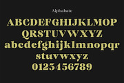 Quirlone, a Serif Font by Propertype (Thumbnail 8 of 10)