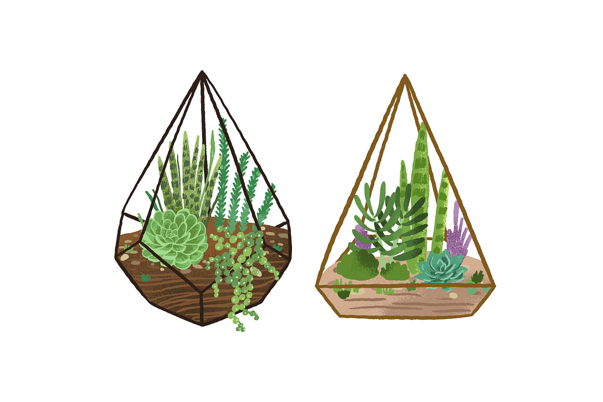 Florarium composition, a Decorative Illustration by Good Studio (Photo 3 of 3)