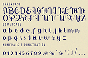 Language of Meaning - Elegant Font, a Serif Font by 177Studio (Thumbnail 8 of 8)