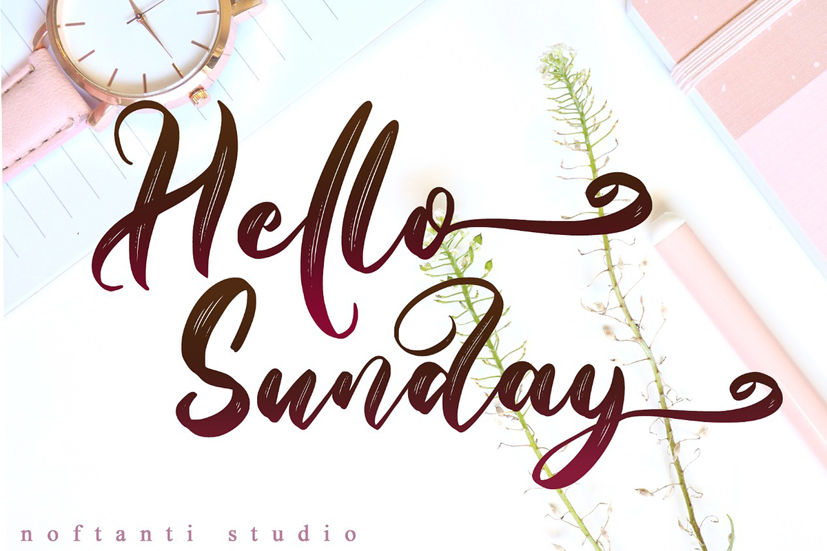 Brigitha // Elegant Script Font, a Script Font by Aldedesign (Photo 10 of 10)