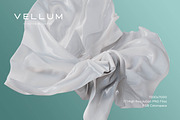 Vellum: 77 Material Textures, a Texture Graphic by RuleByArt (Thumbnail 13 of 14)