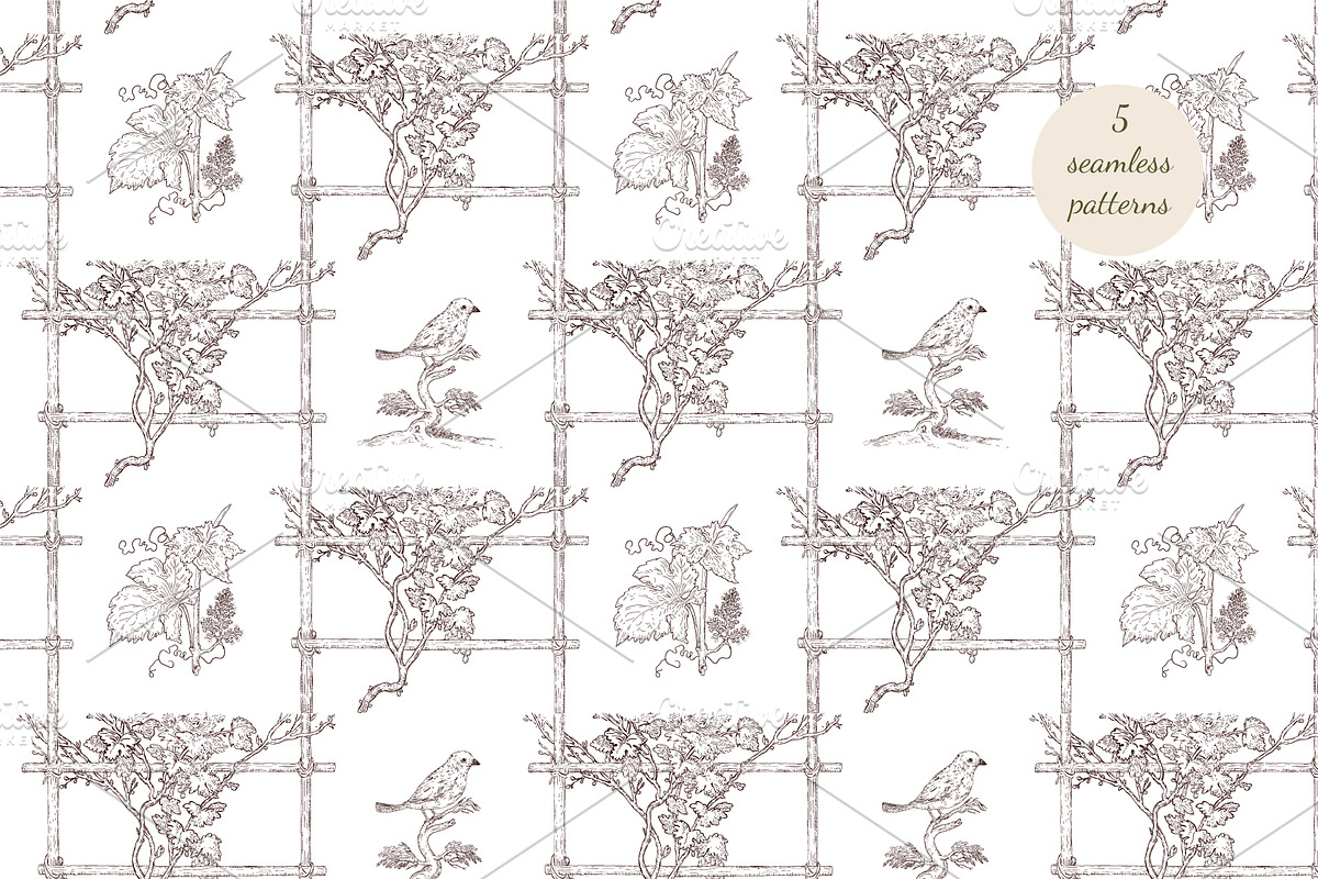 Wine inspired collection. Hand drawn, a Decorative Illustration by YvY (Photo 6 of 9)