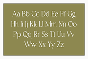 Academia - Modern Stylish, a Serif Font by RockboyStd (Thumbnail 8 of 12)