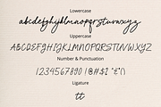Shabira, a Script Font by Fashion Creative (Thumbnail 10 of 10)