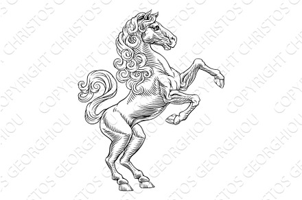 Heraldic Coat of Arms Crest Rearing