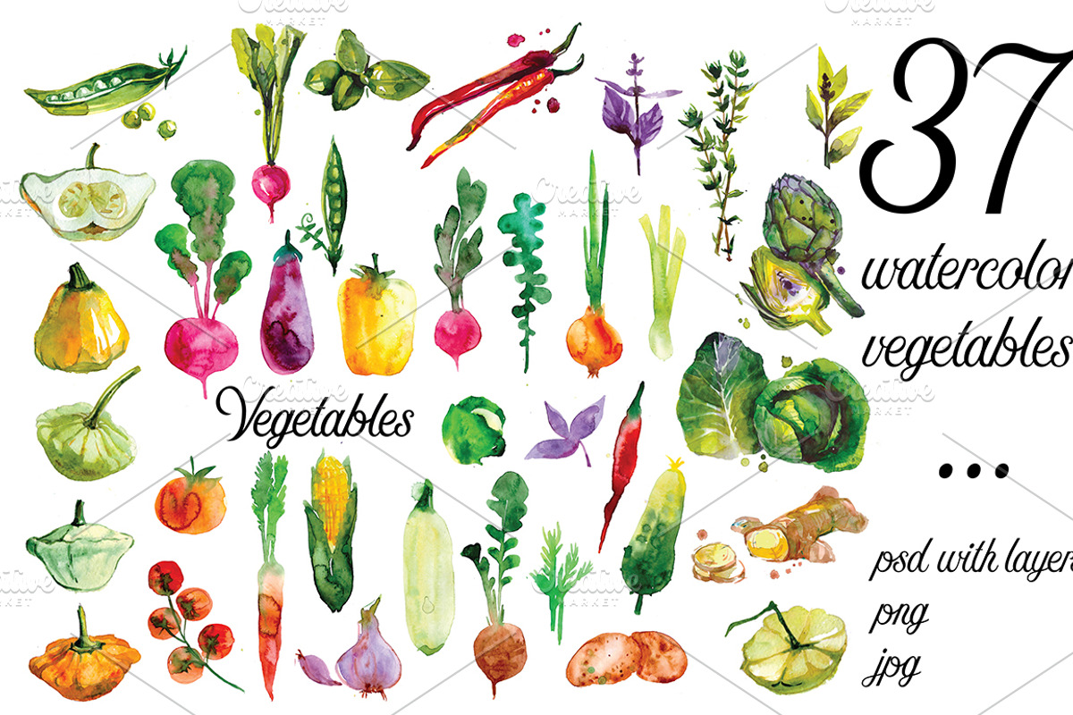 Watercolor Vegetables set, a Food Illustration by Olesya Morokhovets