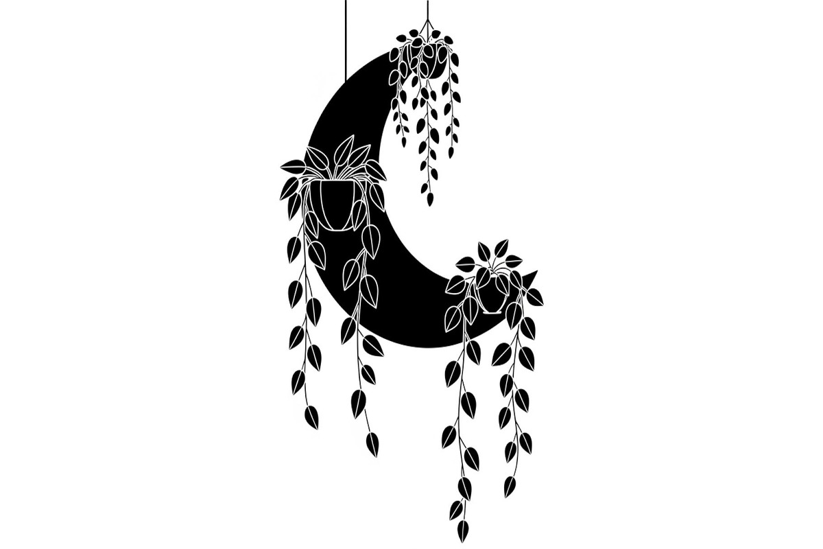 Hanging Moon with Plants Bundle, an Illustration by Designs_River (Photo 7 of 31)