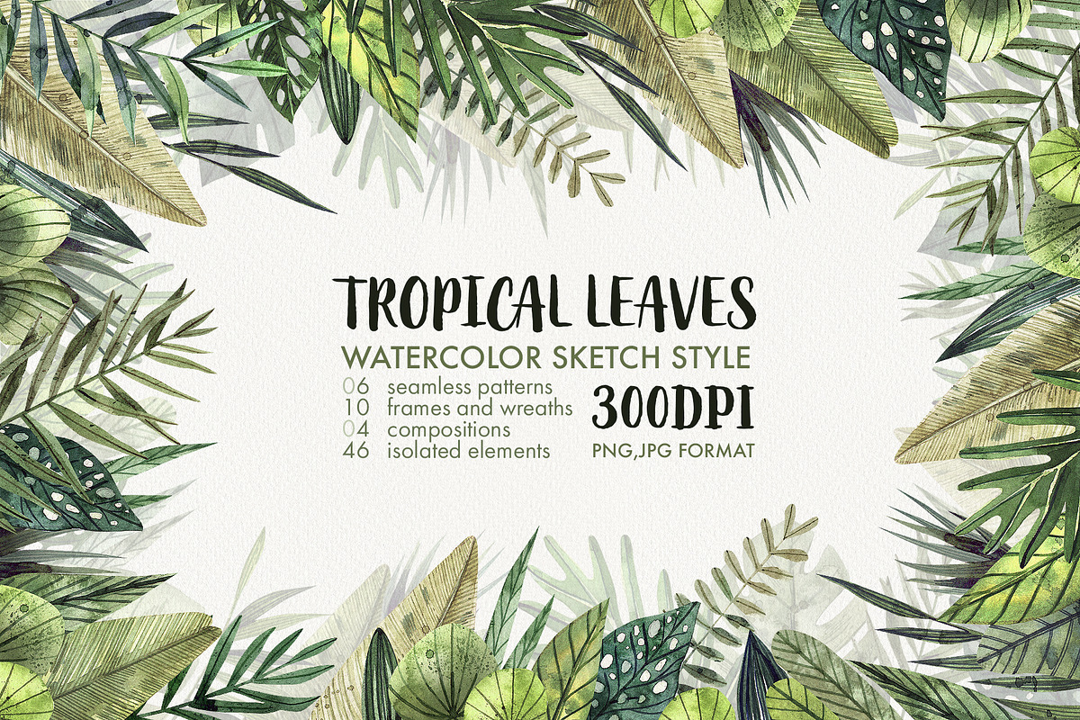 TROPICAL LEAVES & ELEMENTS, a Decorative Illustration by Watercolor by Tonia Tkach (Photo 1 of 6)