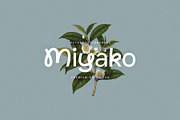 Norte, a Sans Serif Font by vuuuds (Thumbnail 4 of 13)