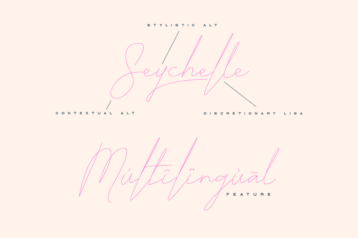 ARK Seychelle - Exotic Monoline Font, a Script Font by Arkara (Photo 7 of 8)