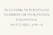 BLOSTA Font Duo//Serif & Script, a Serif Font by Alcode (Thumbnail 13 of 23)