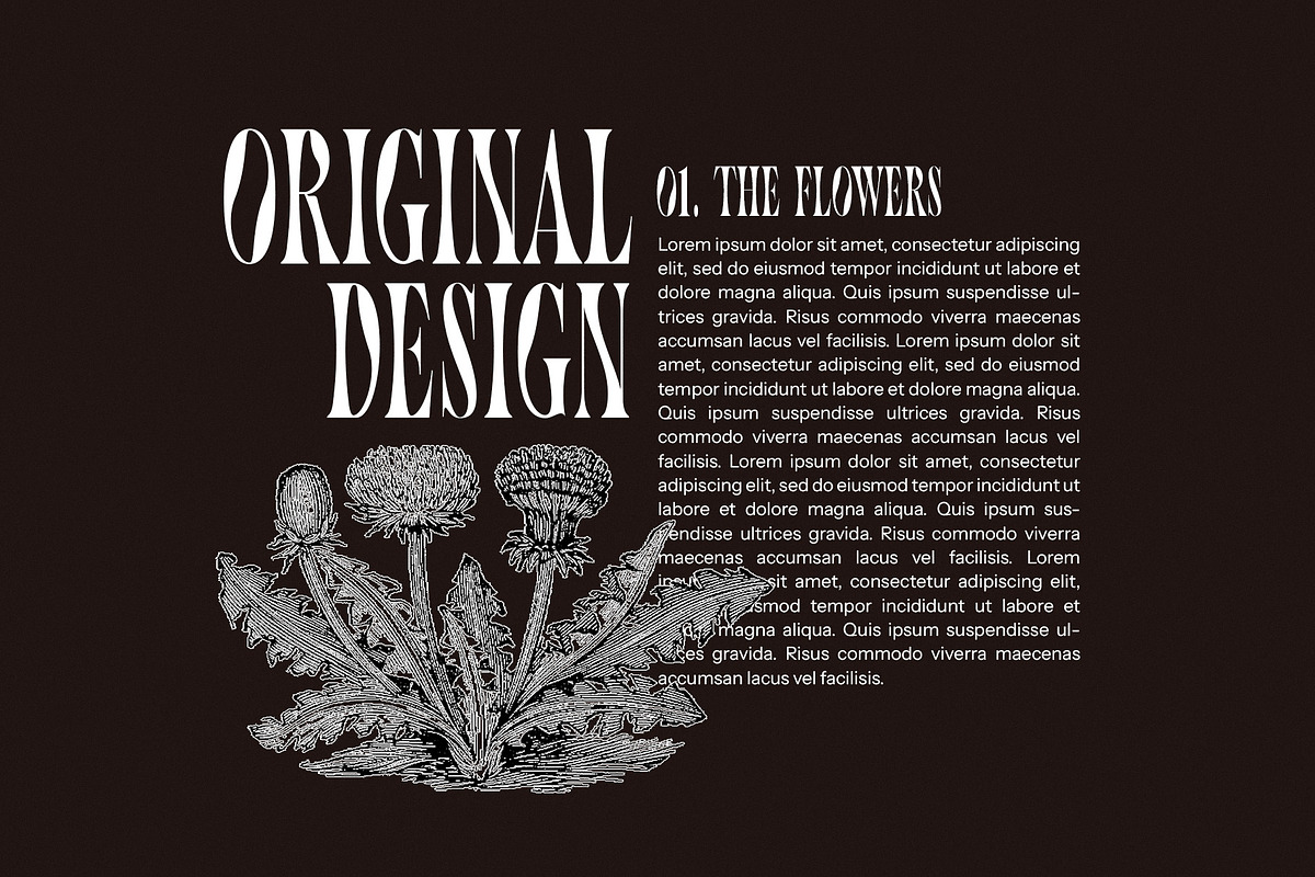 Toughe Unique Serif Font, a Serif Font by Perfectype (Photo 4 of 8)
