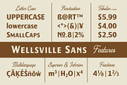 Wellsville Font Duo, a Script Font by Adam Fathony (Thumbnail 4 of 18)