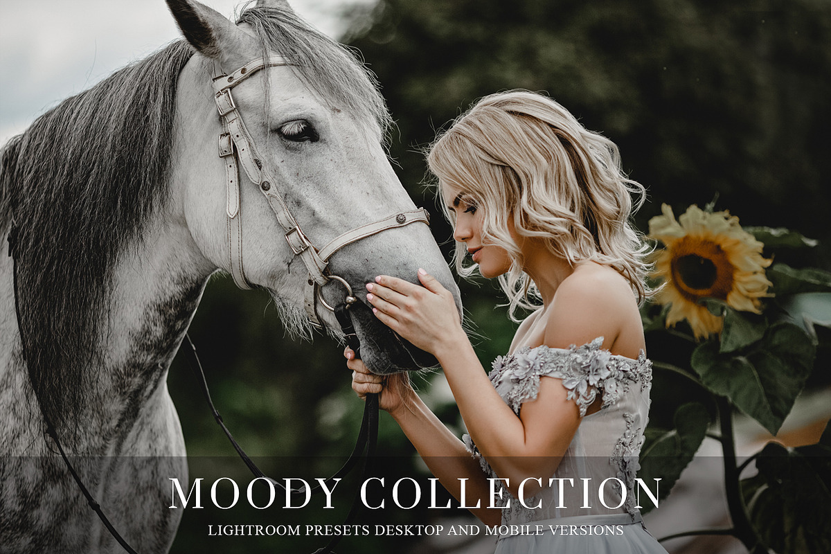 Moody presets for Lightroom + mobile