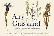 Airy Grassland — Flower Heads & Gras, an Object Graphic by Aga Silva (Thumbnail 3 of 5)