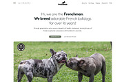 Frenchman - WP dog breeder kit, a Templates & Theme by Oooh Boi (Thumbnail 1 of 12)