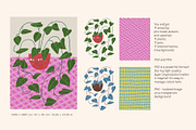 Peperomia - eclectic houseplants, an Illustration by Annakniaz (Thumbnail 4 of 14)