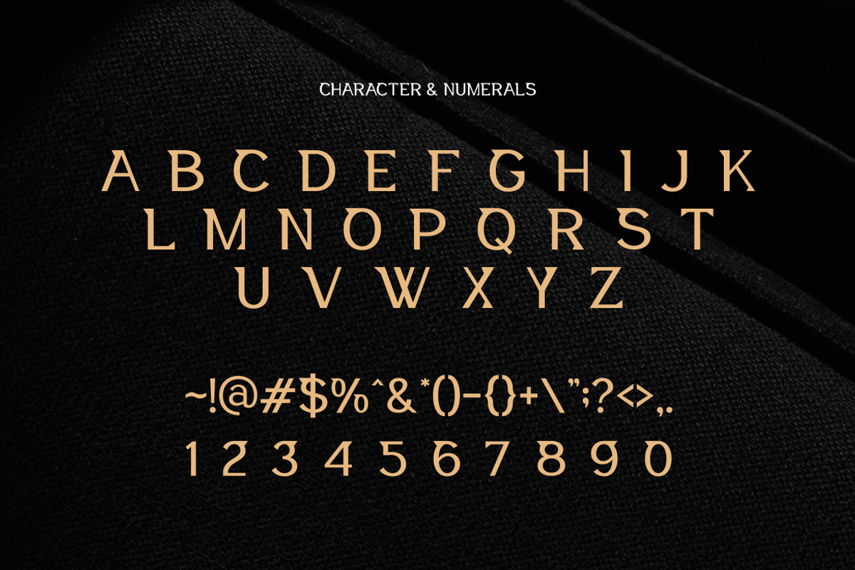 Gorbita – Modern Elegant Serif, a Sans Serif Font by Vadovastd (Photo 7 of 7)
