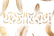Gold Feathers collection (eps + png), an Object Graphic by Gluiki (Thumbnail 2 of 2)