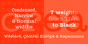 Leto Slab, a Slab Serif Font by Glen Jan (Thumbnail 2 of 9)