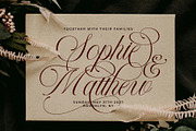 LT Nouvelle Jardin – Romantic Script, a Script Font by Luminotype (Thumbnail 4 of 10)