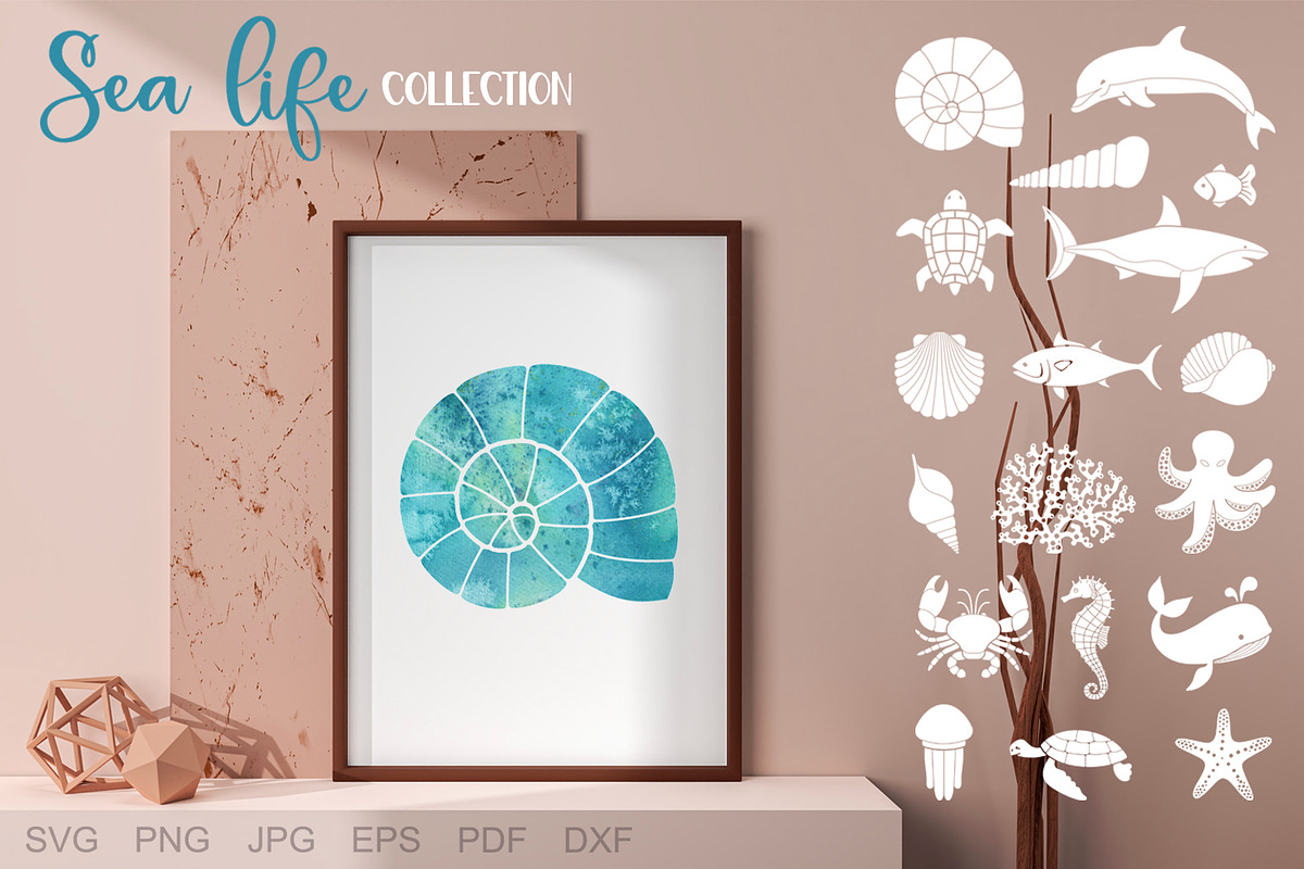 Sea life, an Animal Illustration by KlavaProDesign (Photo 5 of 10)