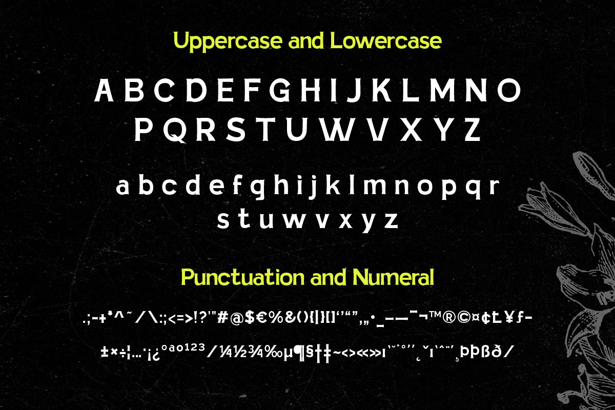 Dipeko - Retro Font, a Slab Serif Font by trabaskriya (Photo 8 of 8)