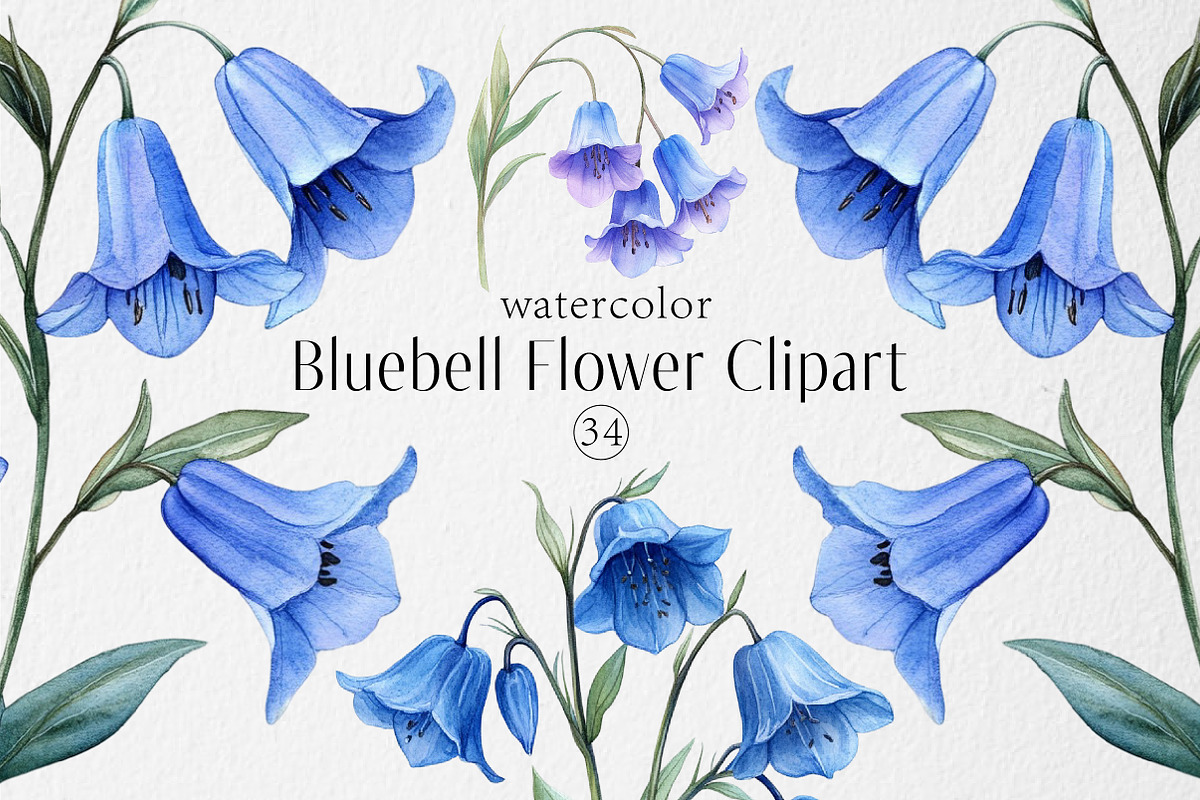Watercolor Bluebell Flower Clipart, an Illustration by Dream Creation (Photo 1 of 7)