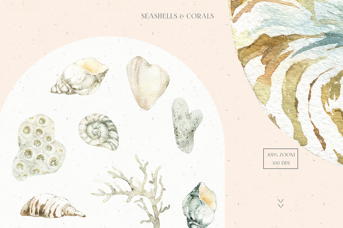 Underwater Watercolor Collection, an Animal Illustration by Cat In Colour (Photo 4 of 9)