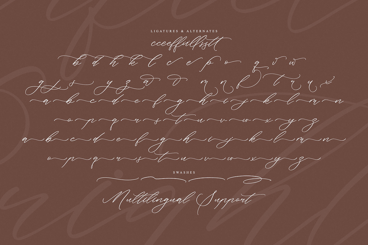 Starfield Brightens, a Script Font by operatype.co (Photo 14 of 15)