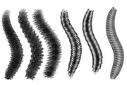 Procreate brush curly hair pigtails, a Brush Add-On by Elenbushe (Thumbnail 6 of 7)