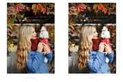 Lightroom Presets VSCO Film, an Action Add-On by BeArt-Presets (Thumbnail 14 of 20)