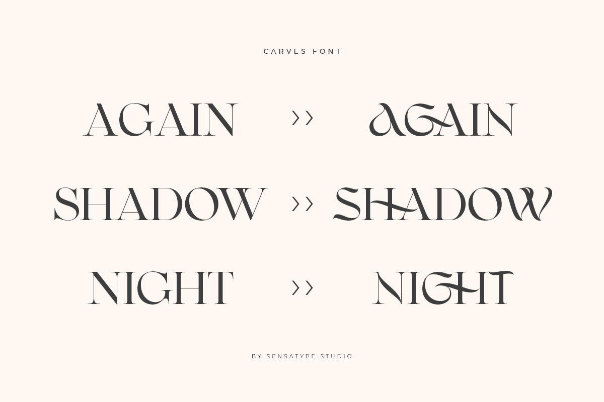 CARVES - Modern Display Font, a Sans Serif Font by Sensatype (Photo 13 of 20)