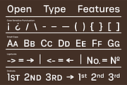 Phluff Variable Round Sans Font, a Sans Serif Font by That That Creative (Thumbnail 10 of 17)