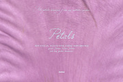 Petals Garden Collage Kit, an Object Graphic by Purple (Thumbnail 4 of 15)
