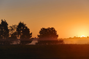 Golden sunrise landscape with tree silhouettes and low ground fog. Misty mornin, a Nature Photo by Rohan Photography