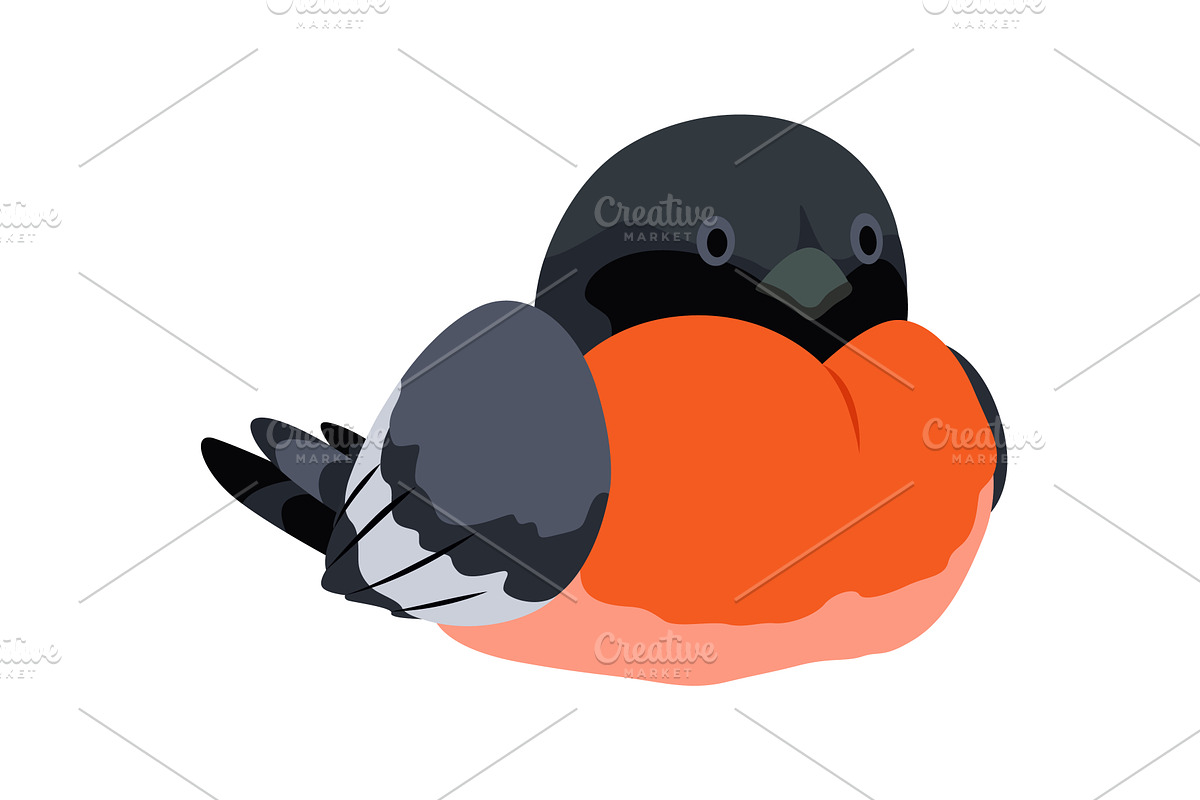 City bird, icon. European colorful, an Animal Illustration by the8monkey