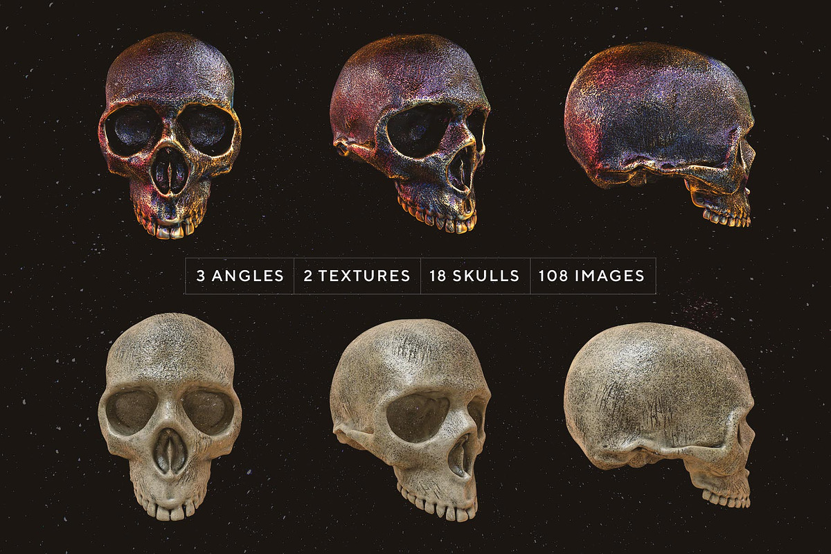 Skulls: 108 Skull Images, an Object Graphic by RuleByArt (Photo 3 of 16)