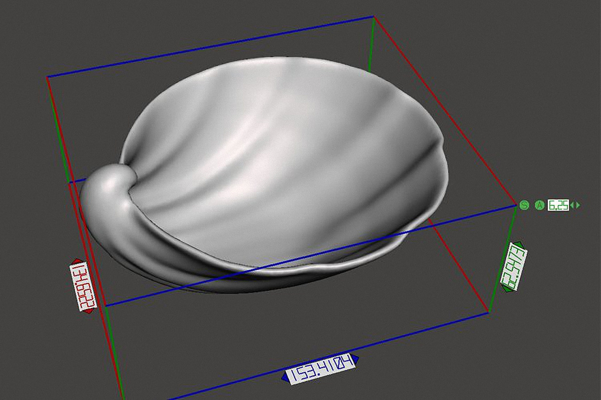 7 Shell Planter for 3D Printing, an Object 3D Model by Kseniya-Omega (Photo 17 of 17)