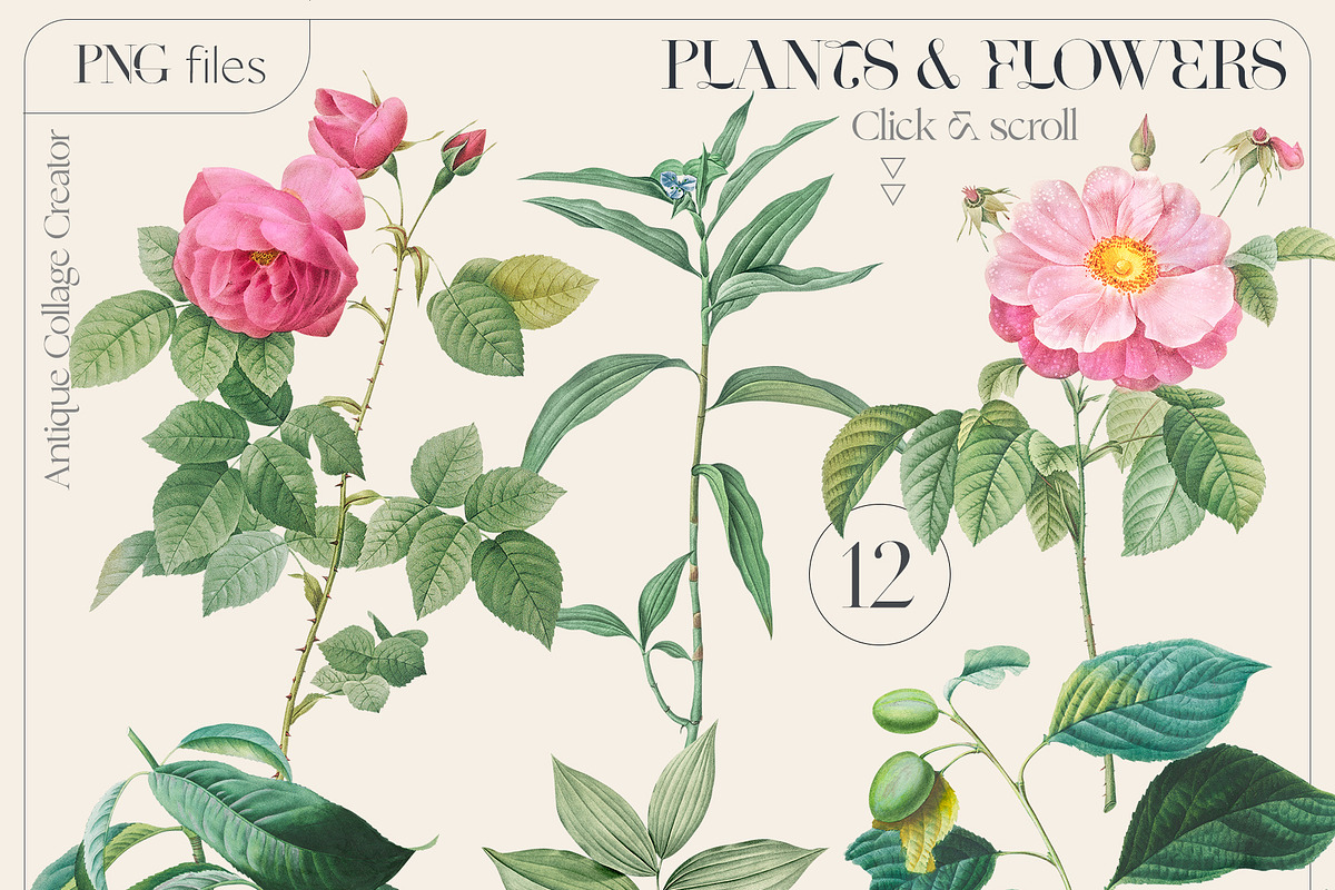 BUNDLE Collage Creator Art Elements, an Object Graphic by Oksana Trygub (Photo 28 of 49)
