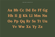 Fjord - Soft Fat Serif Font, a Serif Font by Studio Aurora (Thumbnail 2 of 10)