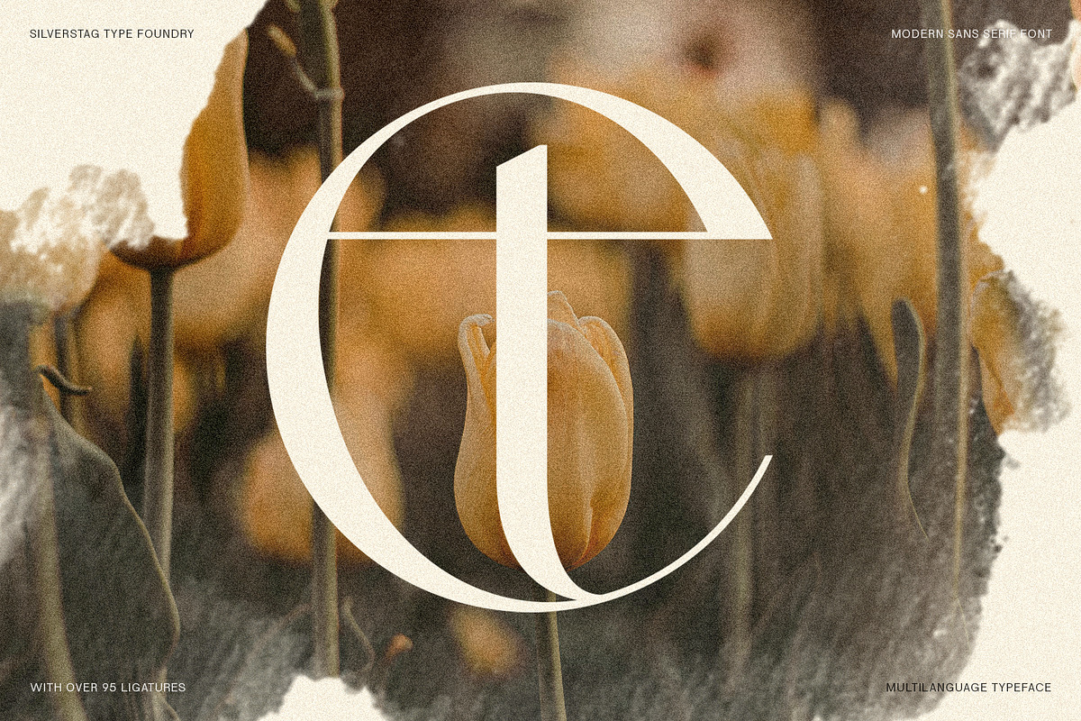 SLTF Night Windfall - Ligature Sans, a Sans Serif Font by SilverStag Type Foundry (Photo 12 of 30)