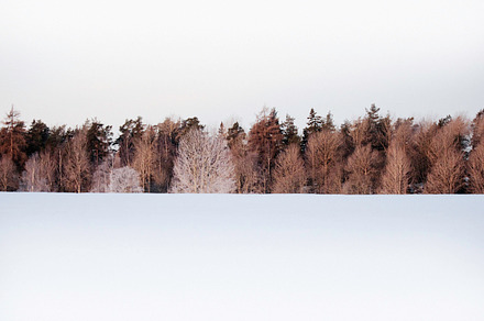 Wintery Landscape preview 4