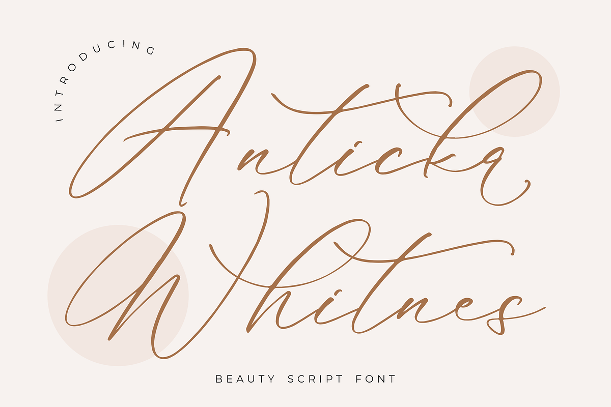 Anticka Whitnes Beauty Script Font, a Script Font by Storytype Studio (Photo 1 of 15)