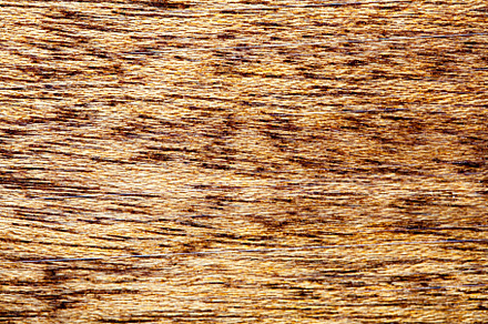 old wooden board, background, an Abstract Photo by Artsaba Family