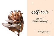 Oriole Script Font, a Script Font by The Pigeon Letters (Thumbnail 9 of 14)