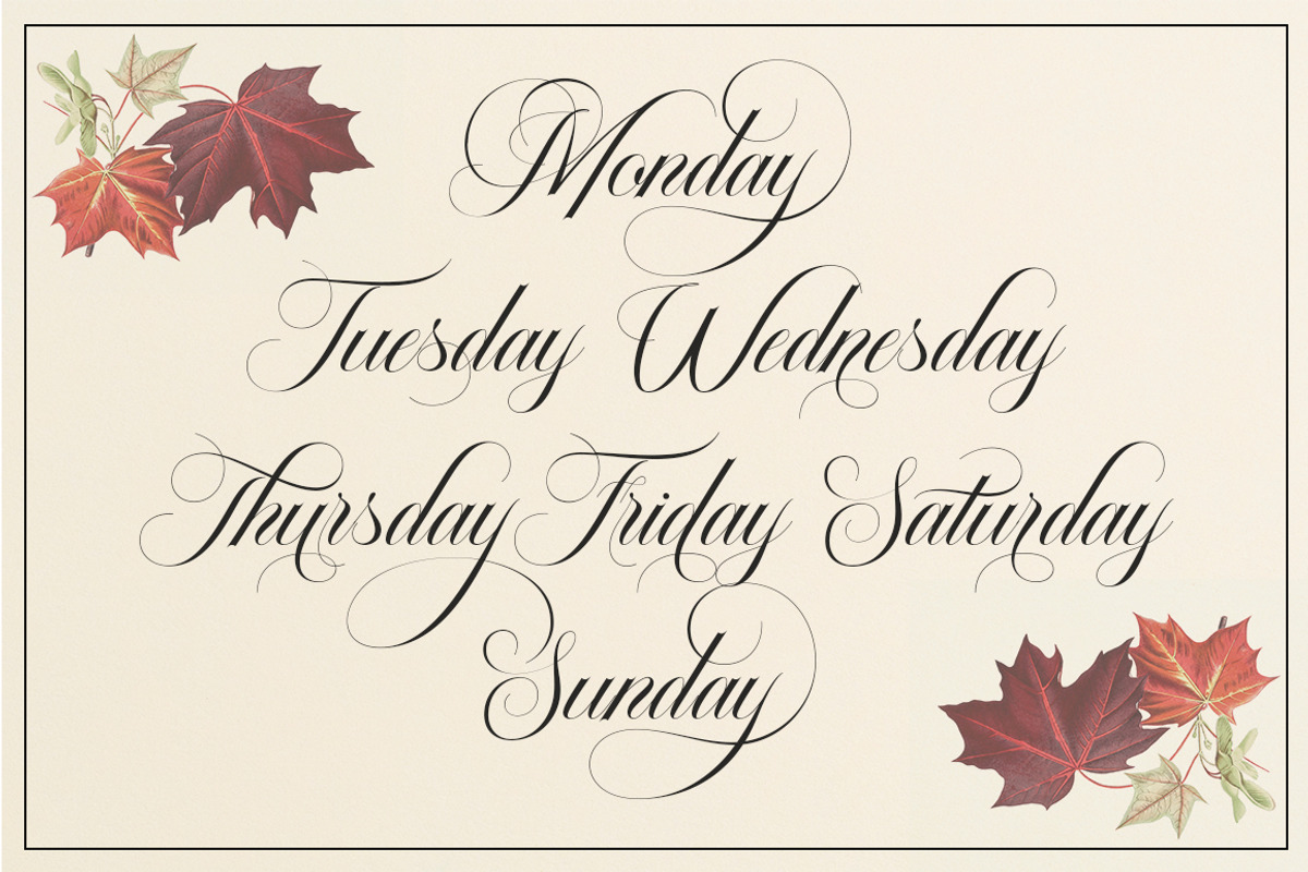 The Dellgado, a Script Font by Pista Mova