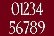 CS Refuse – Contemporary Font, a Serif Font by Craft Supply Co. (Thumbnail 6 of 8)